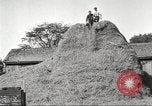 Image of workers in barn United States USA, 1920, second 60 stock footage video 65675063942
