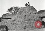 Image of workers in barn United States USA, 1920, second 61 stock footage video 65675063942