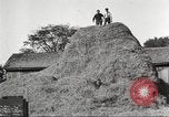 Image of workers in barn United States USA, 1920, second 62 stock footage video 65675063942