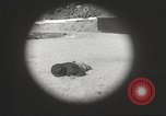 Standbild Pistole Film Kamera Los Angeles California USA, 1935, aus Sekunde 38 historischem Filmmaterial Videoclip 65675063945
