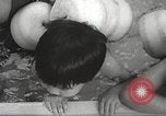 Immagine di Bambini giapponesi nuotare Tokyo Giappone, 1967, secondo 28 filmato di repertorio 65675063956