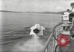 Immagine di Lee Taylor Alabama United States USA, 1967, secondo 21 filmato di repertorio 65675063959