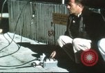 Image of Bell X-2 California United States USA, 1956, second 56 stock footage video 65675063975