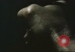 Image of Bell X-2 California United States USA, 1956, second 46 stock footage video 65675063977