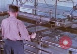 Image of B-52G aircraft Kansas United States USA, 1960, second 13 stock footage video 65675063991