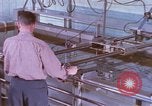Image of B-52G aircraft Kansas United States USA, 1960, second 14 stock footage video 65675063991
