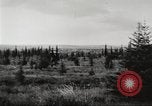 Image of Carpenter-Whitney Expedition Alaska USA, 1929, second 29 stock footage video 65675063998
