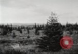 Image of Carpenter-Whitney Expedition Alaska USA, 1929, second 30 stock footage video 65675063998