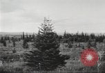 Image of Carpenter-Whitney Expedition Alaska USA, 1929, second 31 stock footage video 65675063998