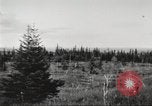 Image of Carpenter-Whitney Expedition Alaska USA, 1929, second 32 stock footage video 65675063998