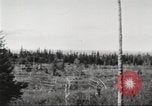 Image of Carpenter-Whitney Expedition Alaska USA, 1929, second 33 stock footage video 65675063998