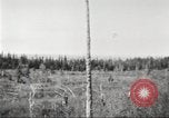 Image of Carpenter-Whitney Expedition Alaska USA, 1929, second 34 stock footage video 65675063998