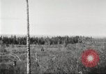 Image of Carpenter-Whitney Expedition Alaska USA, 1929, second 35 stock footage video 65675063998