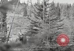 Image of Carpenter-Whitney Expedition Alaska USA, 1929, second 41 stock footage video 65675063998