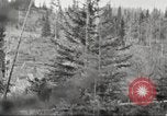 Image of Carpenter-Whitney Expedition Alaska USA, 1929, second 42 stock footage video 65675063998