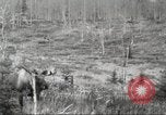 Image of Carpenter-Whitney Expedition Alaska USA, 1929, second 48 stock footage video 65675063998