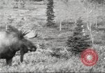 Image of Carpenter-Whitney Expedition Alaska USA, 1929, second 56 stock footage video 65675063998