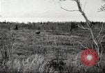 Image of Carpenter-Whitney Expedition Alaska USA, 1929, second 1 stock footage video 65675063999