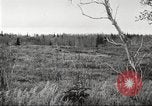 Image of Carpenter-Whitney Expedition Alaska USA, 1929, second 3 stock footage video 65675063999