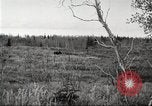 Image of Carpenter-Whitney Expedition Alaska USA, 1929, second 5 stock footage video 65675063999