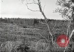 Image of Carpenter-Whitney Expedition Alaska USA, 1929, second 7 stock footage video 65675063999