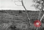 Image of Carpenter-Whitney Expedition Alaska USA, 1929, second 9 stock footage video 65675063999