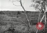 Image of Carpenter-Whitney Expedition Alaska USA, 1929, second 12 stock footage video 65675063999