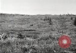 Image of Carpenter-Whitney Expedition Alaska USA, 1929, second 13 stock footage video 65675063999