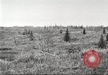 Image of Carpenter-Whitney Expedition Alaska USA, 1929, second 21 stock footage video 65675063999