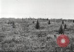 Image of Carpenter-Whitney Expedition Alaska USA, 1929, second 23 stock footage video 65675063999