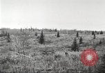 Image of Carpenter-Whitney Expedition Alaska USA, 1929, second 25 stock footage video 65675063999