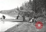 Image of Carpenter-Whitney Expedition Alaska USA, 1929, second 53 stock footage video 65675063999