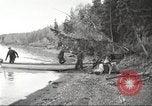 Image of Carpenter-Whitney Expedition Alaska USA, 1929, second 54 stock footage video 65675063999