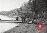 Image of Carpenter-Whitney Expedition Alaska USA, 1929, second 60 stock footage video 65675063999