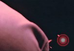 Image of General Joseph J Nazzaro Vietnam, 1969, second 9 stock footage video 65675064026