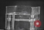 Standbild nicht identifizierte fliegende Objekt United States USA, 1966, aus Sekunde 39 historischem Filmmaterial Videoclip 65675064062