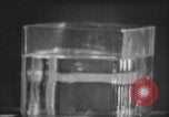 Standbild nicht identifizierte fliegende Objekt United States USA, 1966, aus Sekunde 40 historischem Filmmaterial Videoclip 65675064062