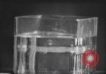 Standbild nicht identifizierte fliegende Objekt United States USA, 1966, aus Sekunde 41 historischem Filmmaterial Videoclip 65675064062