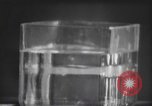 Standbild nicht identifizierte fliegende Objekt United States USA, 1966, aus Sekunde 42 historischem Filmmaterial Videoclip 65675064062