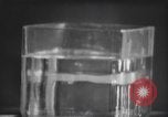 Standbild nicht identifizierte fliegende Objekt United States USA, 1966, aus Sekunde 43 historischem Filmmaterial Videoclip 65675064062