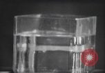 Standbild nicht identifizierte fliegende Objekt United States USA, 1966, aus Sekunde 44 historischem Filmmaterial Videoclip 65675064062