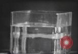 Standbild nicht identifizierte fliegende Objekt United States USA, 1966, aus Sekunde 45 historischem Filmmaterial Videoclip 65675064062