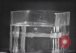 Standbild nicht identifizierte fliegende Objekt United States USA, 1966, aus Sekunde 46 historischem Filmmaterial Videoclip 65675064062