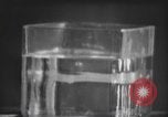 Standbild nicht identifizierte fliegende Objekt United States USA, 1966, aus Sekunde 47 historischem Filmmaterial Videoclip 65675064062