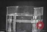 Standbild nicht identifizierte fliegende Objekt United States USA, 1966, aus Sekunde 48 historischem Filmmaterial Videoclip 65675064062