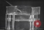 Standbild nicht identifizierte fliegende Objekt United States USA, 1966, aus Sekunde 62 historischem Filmmaterial Videoclip 65675064062