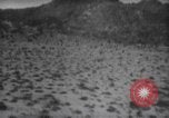 Standbild Nicht identifizierter Kontakt für Flying Object California United States USA, 1966, aus Sekunde 31 historischem Filmmaterial Videoclip 65675064063
