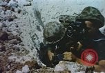 Image of United States Marine Corps photographers Pacific Theater, 1944, second 8 stock footage video 65675064072