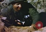 Image of United States Marine Corps photographers Pacific Theater, 1944, second 16 stock footage video 65675064072