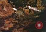 Image of United States Marine Corps photographers Pacific Theater, 1944, second 51 stock footage video 65675064072